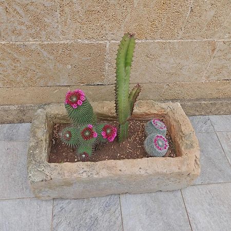 Residenza Case Arse Torre Lapillo Oda fotoğraf